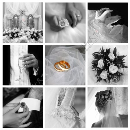 婚礼戒指图片