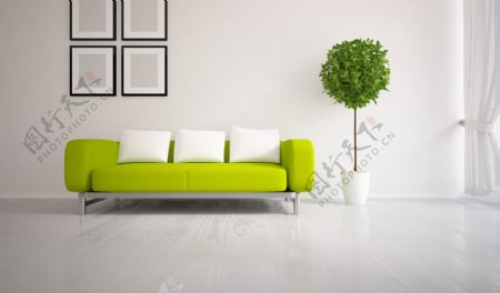 绿色沙发与盆景