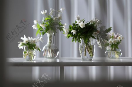 桌子上不同形状的花瓶图片