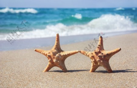 站在沙滩上的两个海星图片