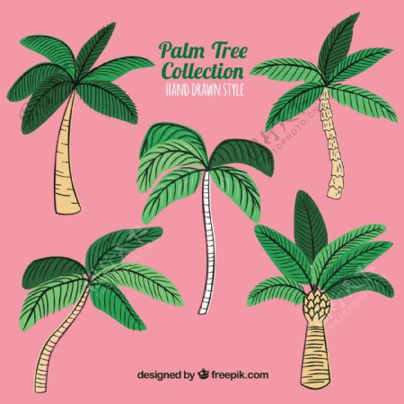 几种手绘棕榈树矢量设计素材