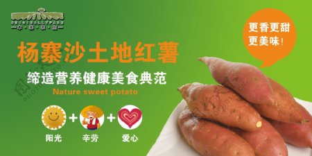 杨寨沙土地红薯宣传海报展板