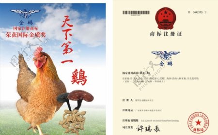 鸡活家禽注册商标证