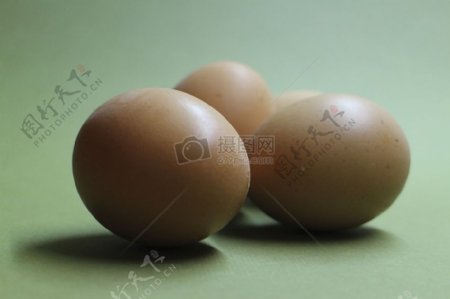 浅绿色背景下的蛋