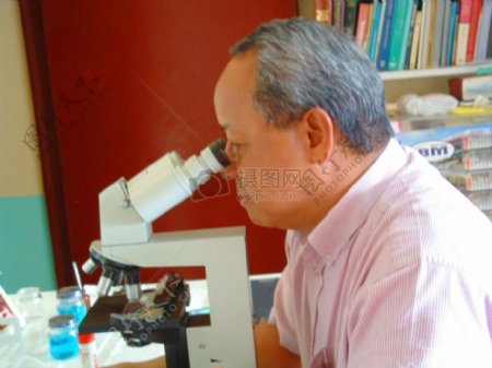 人正在观察显微镜