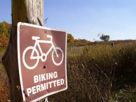 骑自行车允许