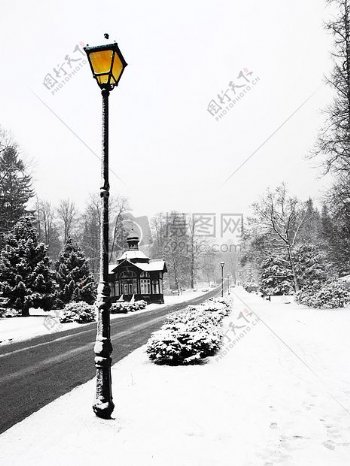 雪中矗立的路灯
