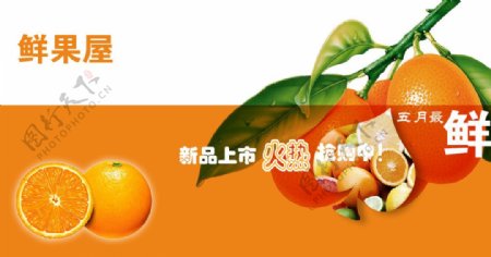 鲜果屋橙子新品上市