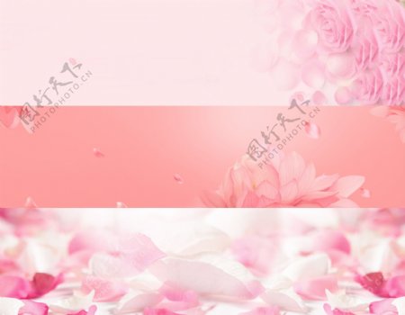 粉红色花朵浪漫海报banner素材