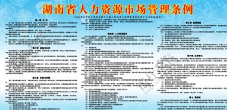 湖南省人力资源市场管理条例图片