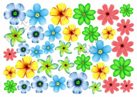 6种花朵插画装饰图案