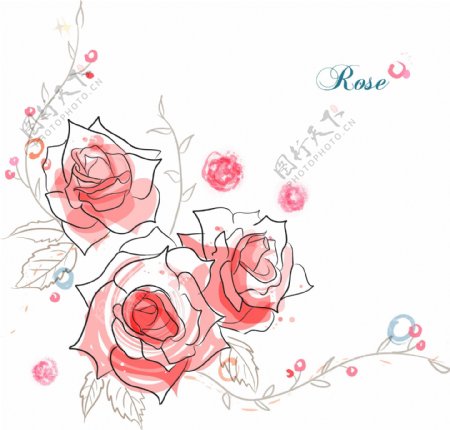 清新水彩绘玫瑰花插画