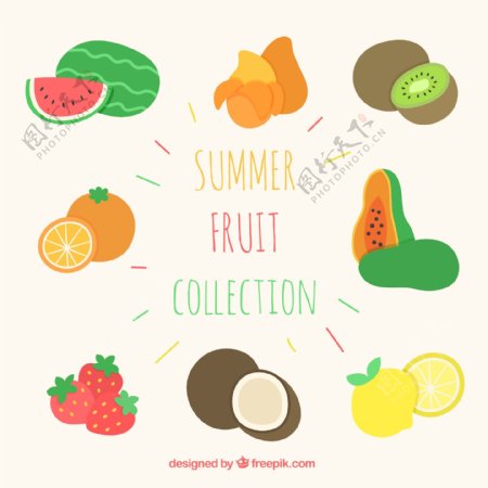 8款彩色夏季水果矢量