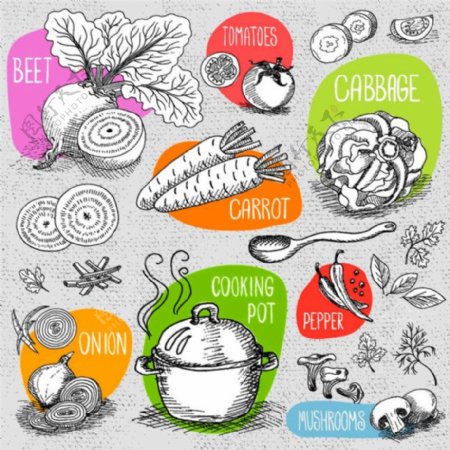 蔬菜素描插图图片