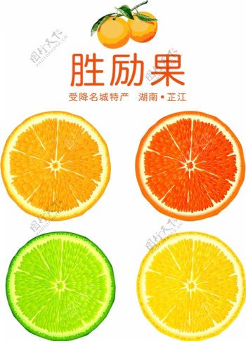 芷江胜励果冰糖橙柑橘切片效果图