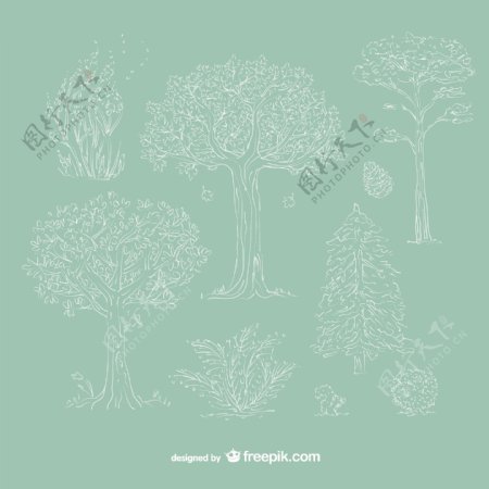 手繪樹木