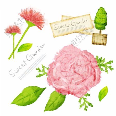 粉红色花朵与绿叶插画PSD分层素材