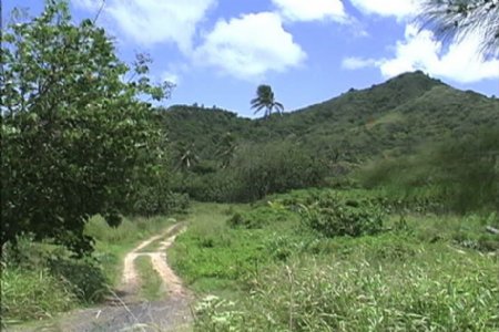 拉罗汤加岛的土路视频免费下载