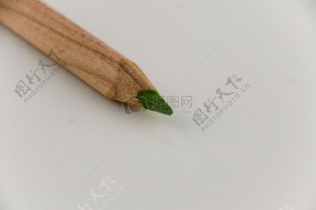 绿色彩色铅笔
