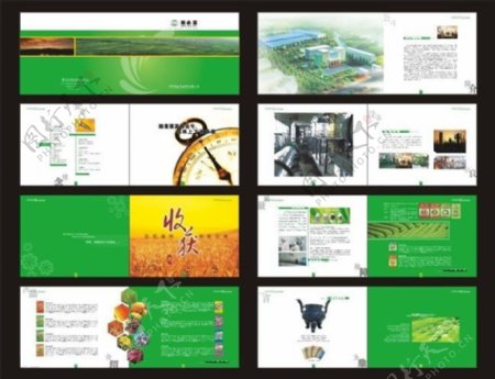 绿色背景企业画册矢量素材