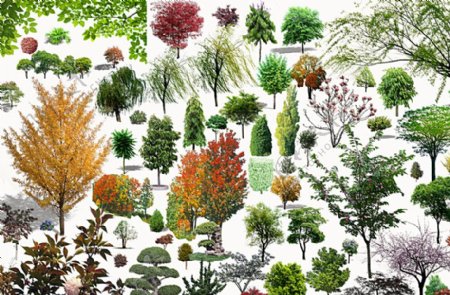 植物景观PSD素材图片