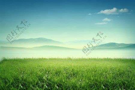 绿色草地蓝天图片
