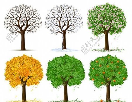 四季的树矢量素材EPS源文件