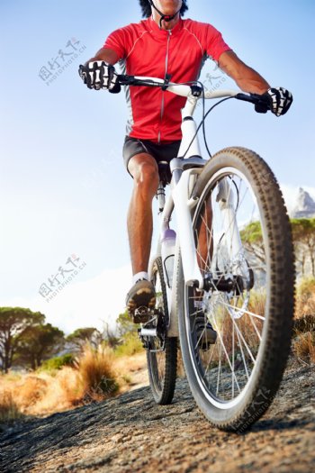 骑自行车的男人图片
