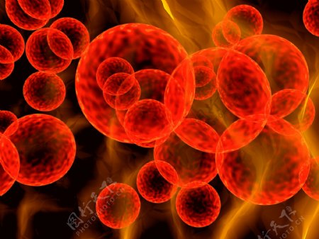 红色圆形生物病毒图片