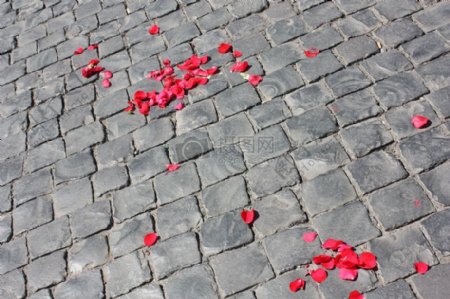 地砖上的玫瑰花瓣