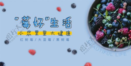 莓水果banner海报