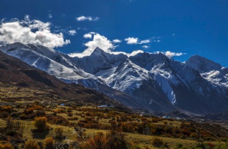 美丽的西藏来古冰川风景图片