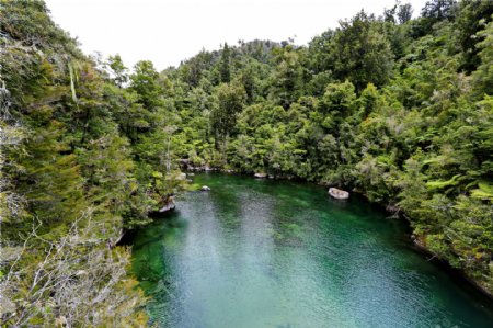 新西兰阿贝尔塔斯曼国家公园风景