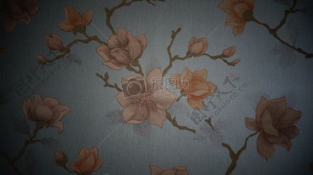 花枝纹样的壁纸