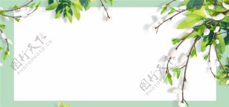 立夏文艺绿色旅行婚礼banner海报