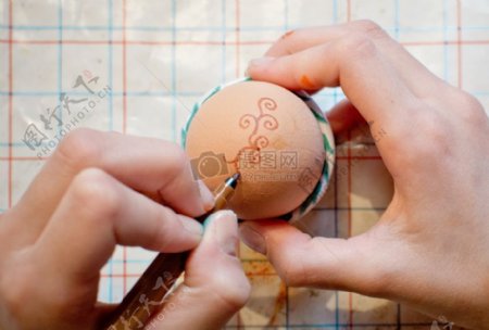 绘制中的鸡蛋