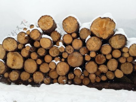 冬天里的木材