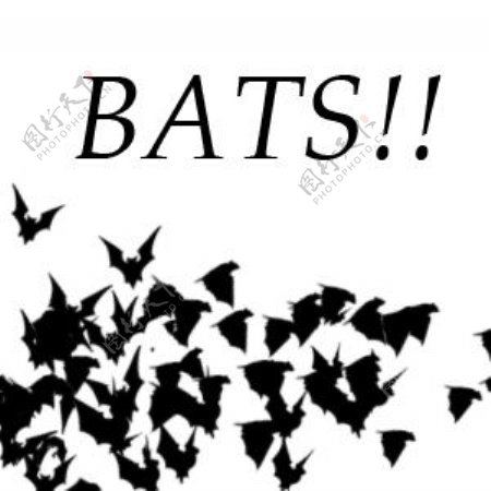恐怖的蝙蝠群笔刷
