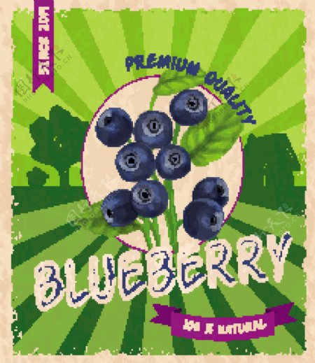 复古风格蓝莓海报矢量素材下载
