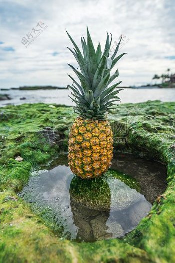 水面上的菠萝
