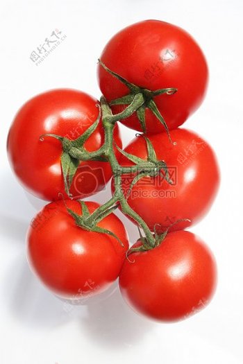 红色成熟番茄