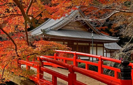 日本古典建筑枫叶红桥设计