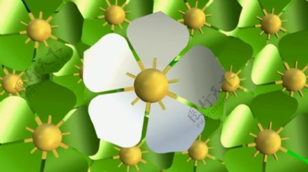 绿色花卉动画视频