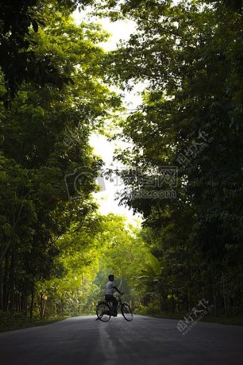 灯路黑色绿色自行车自行车男孩孟加拉国