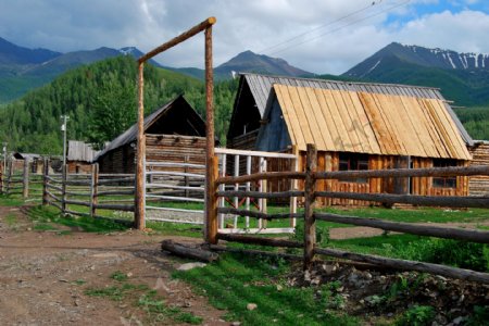 新疆白哈巴图瓦村风景