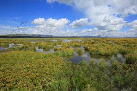 四川花湖风景