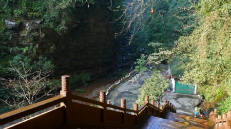 四川碧峰峡风景