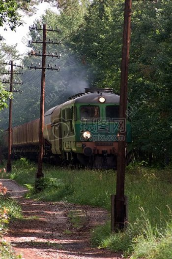 行驶在树林的火车
