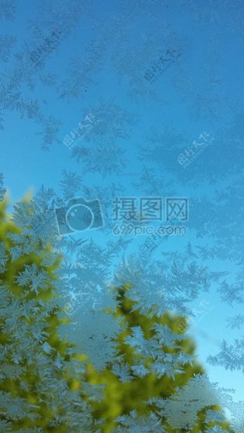 霜窗口车树冰冷冷玻璃玻璃冰冬天磨砂