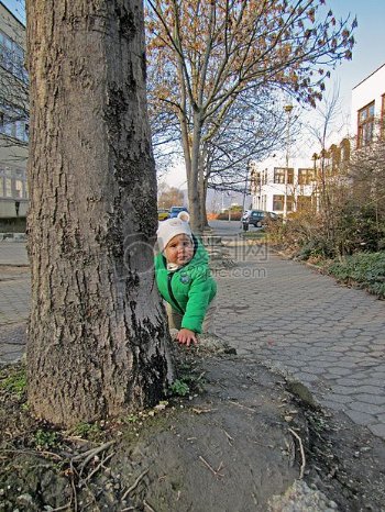 孩子在树下玩